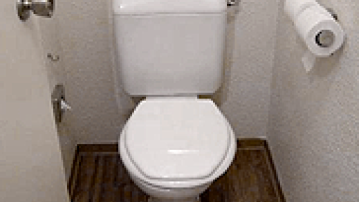 Toilet ontstoppen
